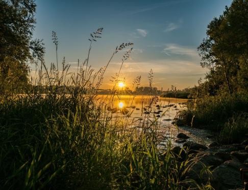 Sonnenuntergang am Rhein 