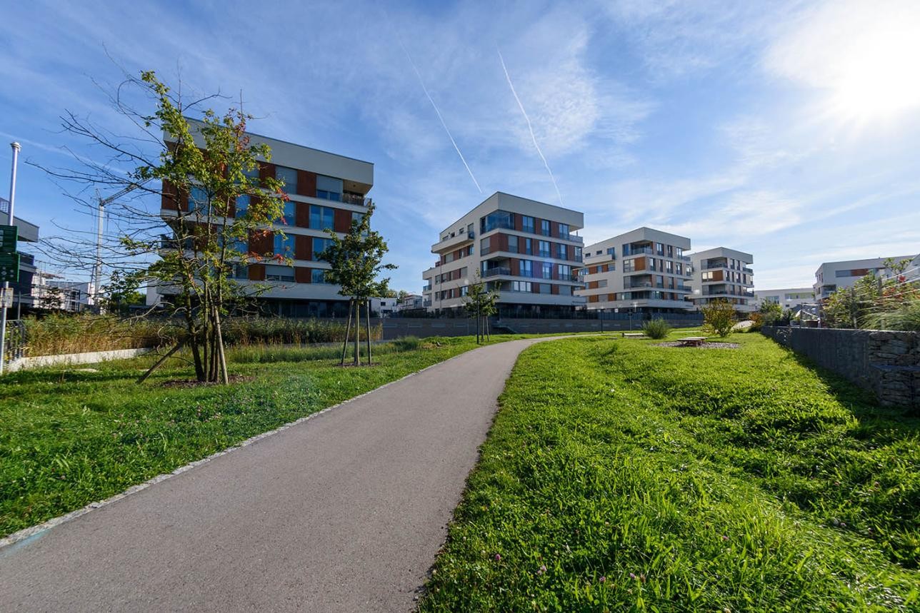 Baldenau residential area with path and houses