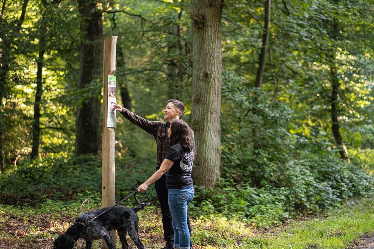 Two forest walkers with dog stand at an information board.