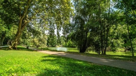 Path with trees in city park