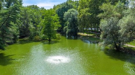 City park from above