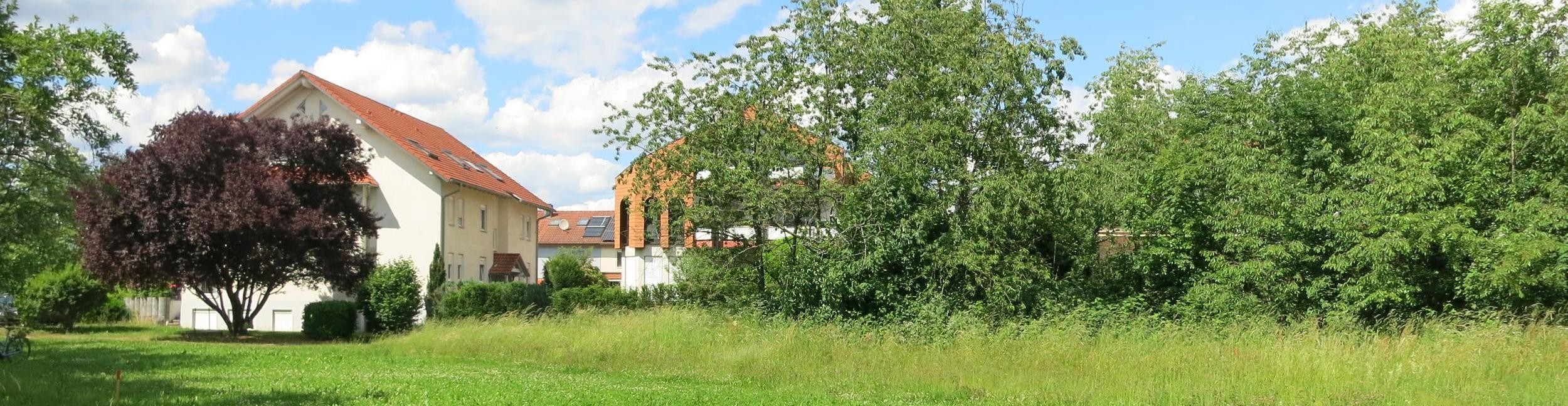 House hidden behind trees