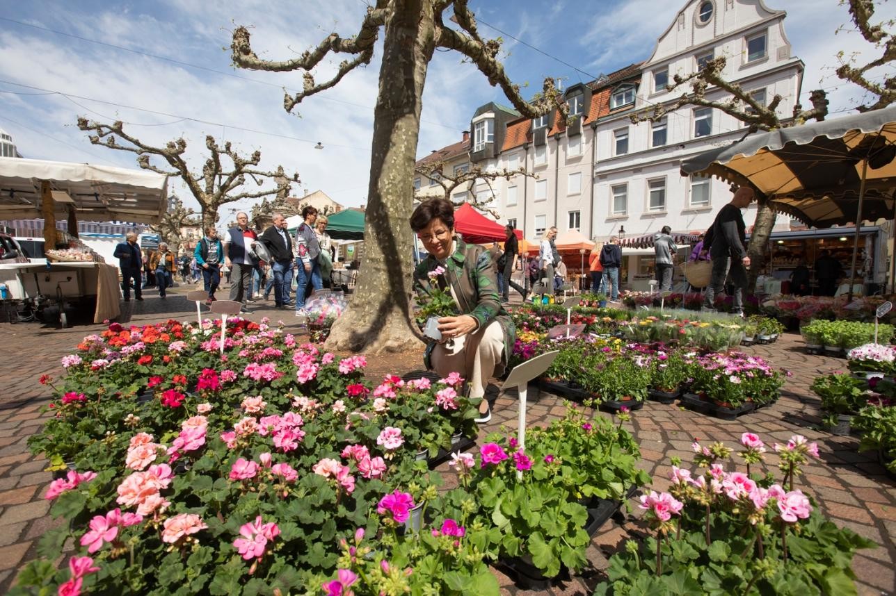 Flower stand at the open Sunday