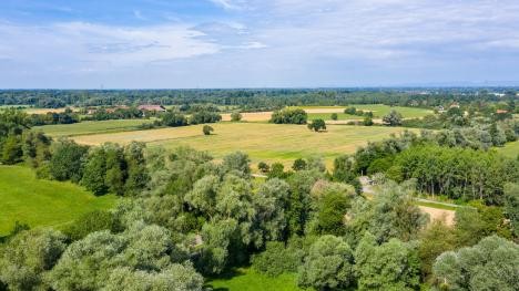 Vue aérienne de Rastatter Bruch avec des arbres et des champs