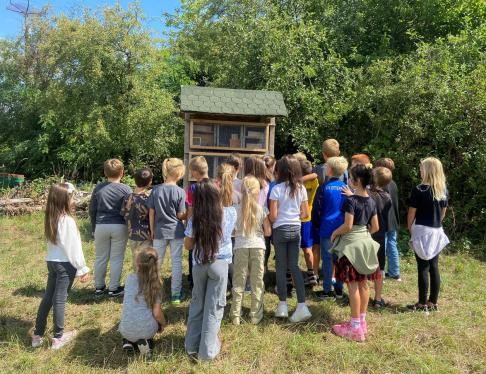 Die Schülerinnen und Schüler bestaunen die neu bestückte Nisthilfe.