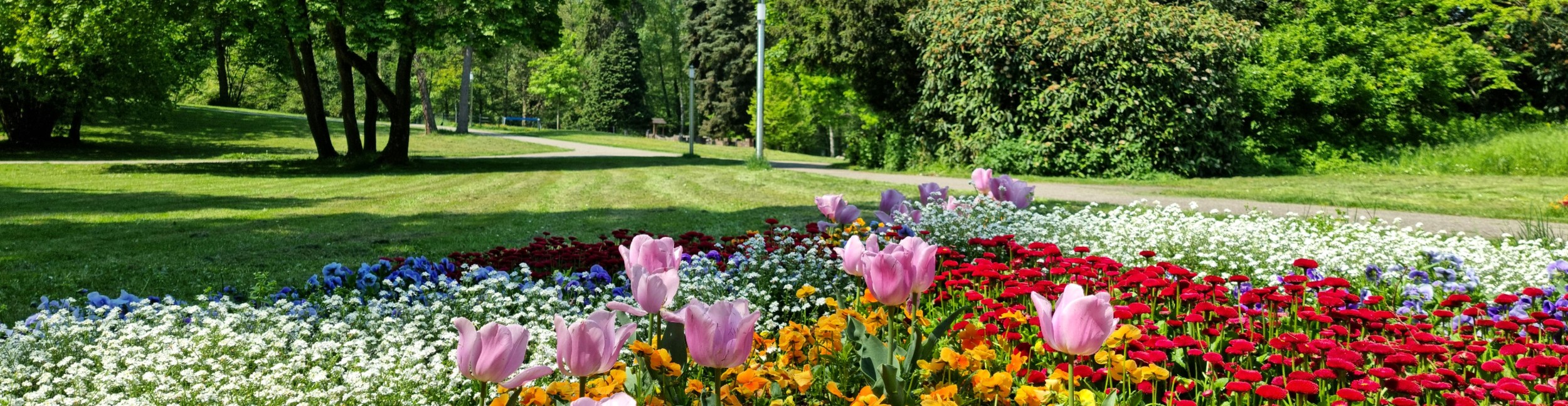 Parcs de la ville Parterre de fleurs au premier plan avec le parc en arrière-plan