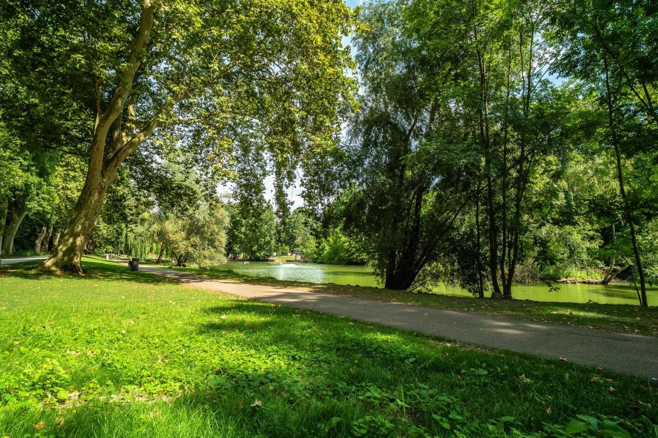 Ein Gehweg mit Grünem um drum im Stadtpark