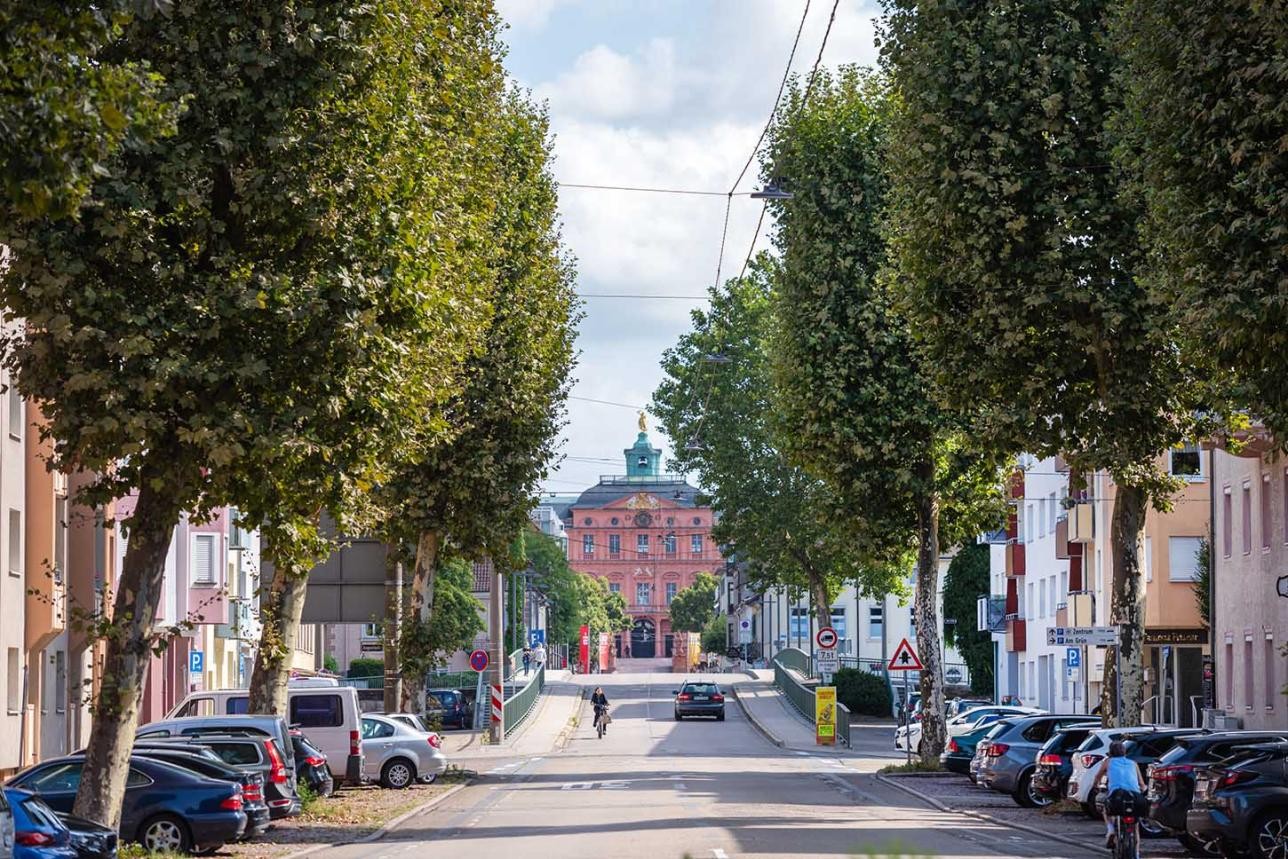 Trees in the city with castle