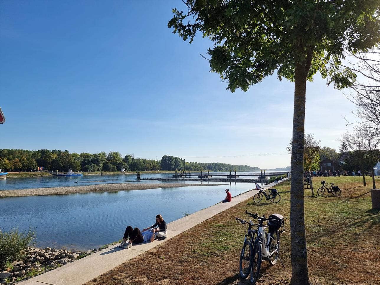 Des gens assis au bord du Rhin à Seltz