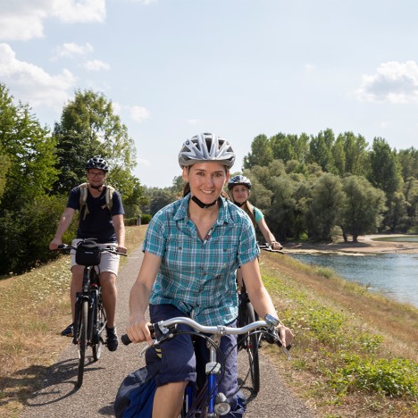 Cyclistes sur la digue du Rhin à Plittersdorf