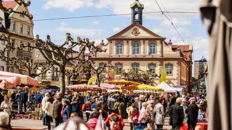 Wochenmarkt in Rastatt mit Blumenstand