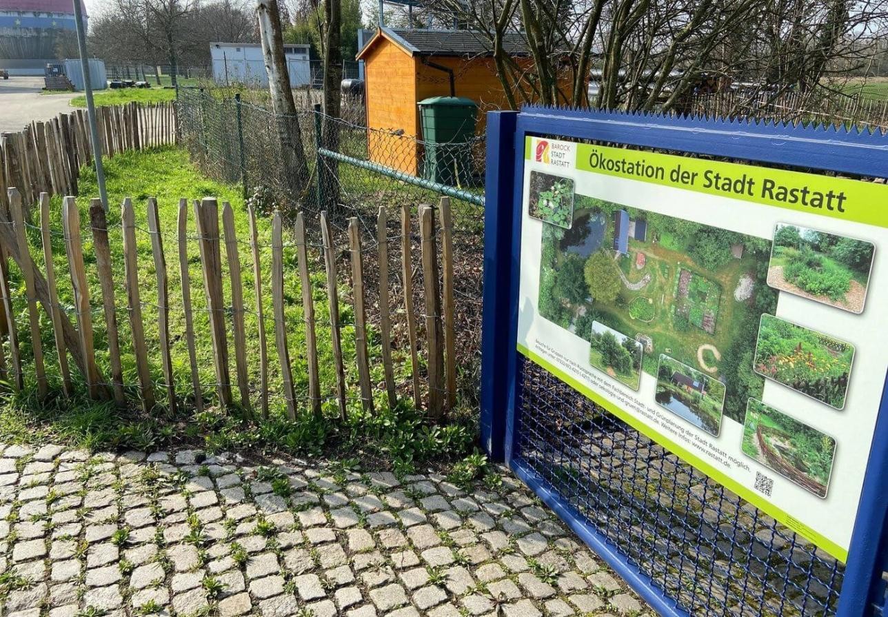 Staketenzaun dahinter das erste Grün auf dem Grünstreifen