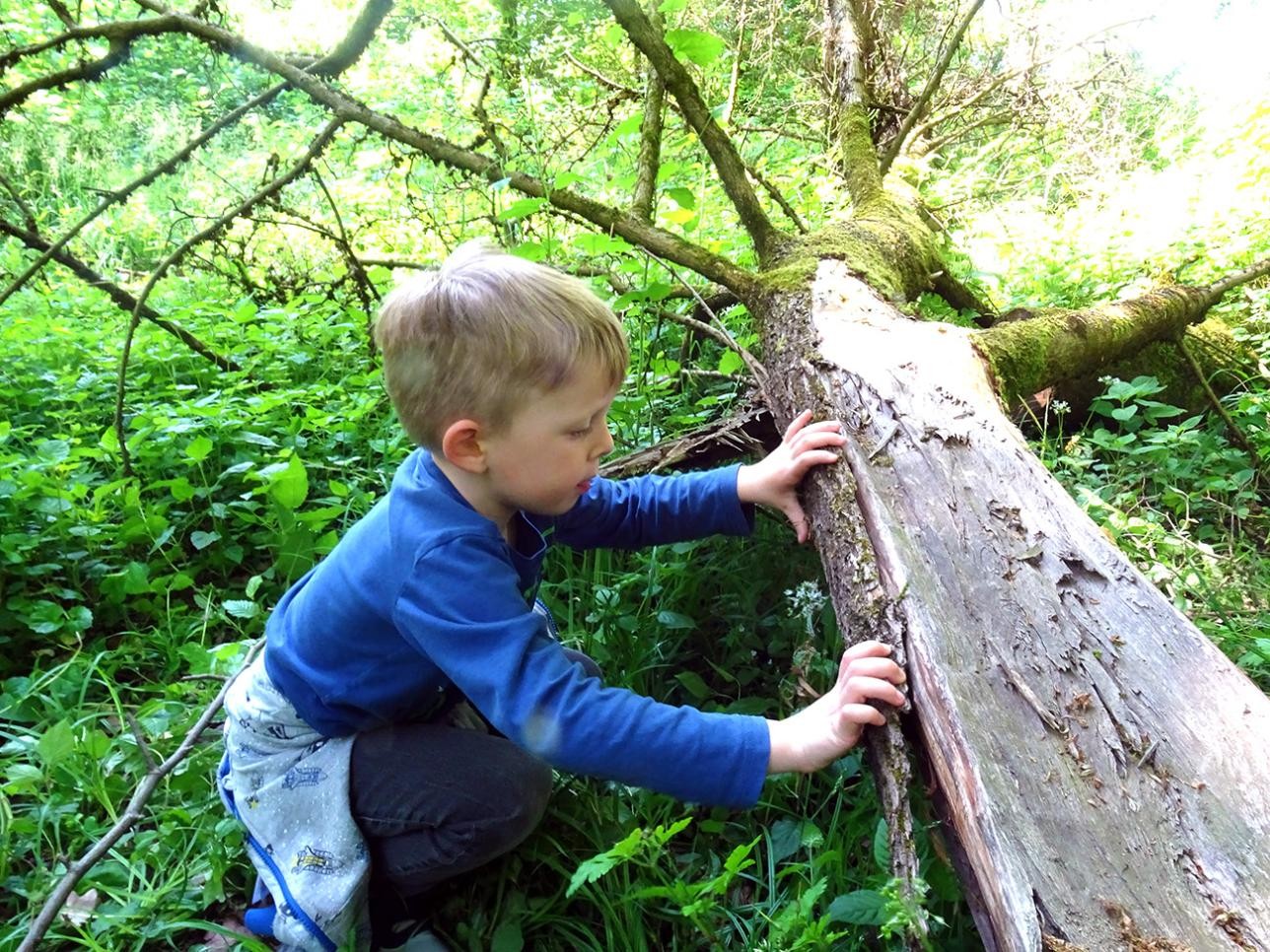 Kind im Wald