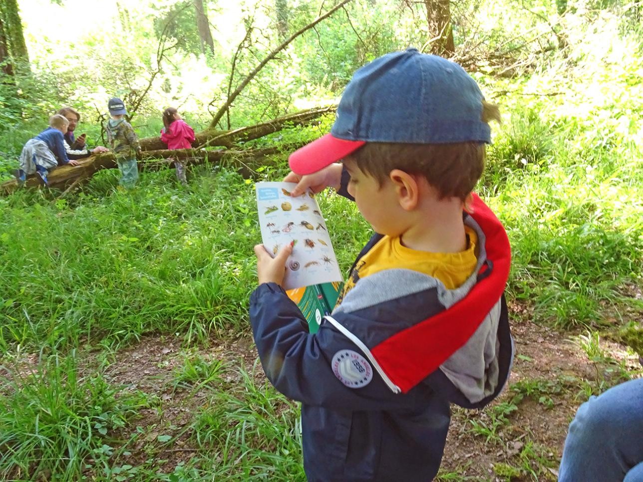 Kinder lernen im Wald Blätter der Bäume