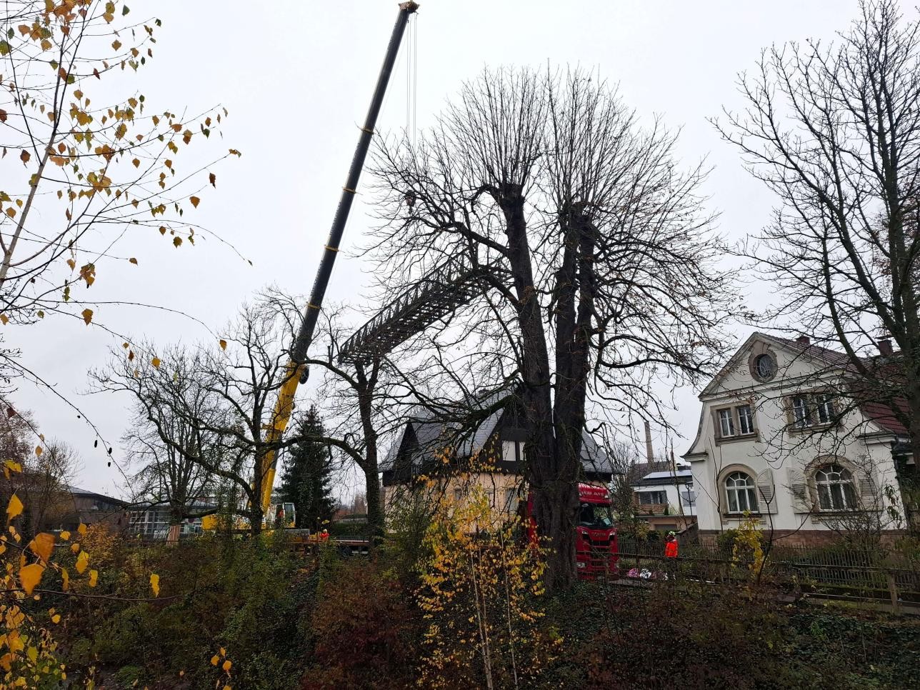 In rund zwei Stunden war der marode Schachtelbachsteg ausgehoben. Jetzt wird er saniert und Ende Januar wieder eingesetzt. Fotos: Stadt Rastatt/Haiko Wölfl Brücke wird von Kran angehoben