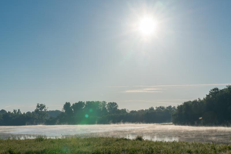 Die Rheinaue im Herbst - Foto: Joachim Gerstner