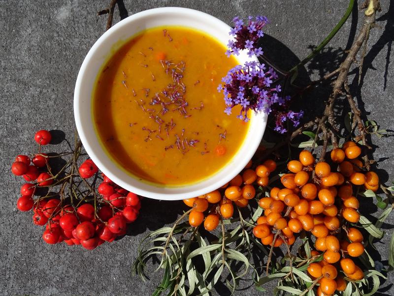 Auch im Herbst kann es kulinarisch werden - Foto: Daniela Schneider