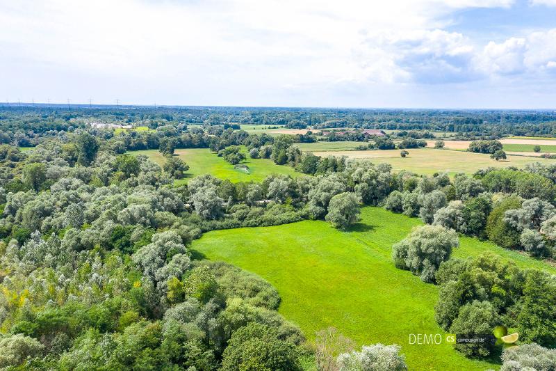 Das Rastatter Bruch - Foto: Stadt Rastatt