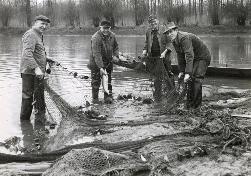 Vier Männer am Altrheinufer mit einem Fischernetz mit Fischen sowie einem Boot im Hintergrund