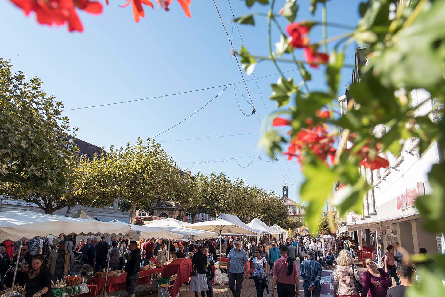 Bauernmarkt beim Verkaufsoffenen Sonntag im Herbst