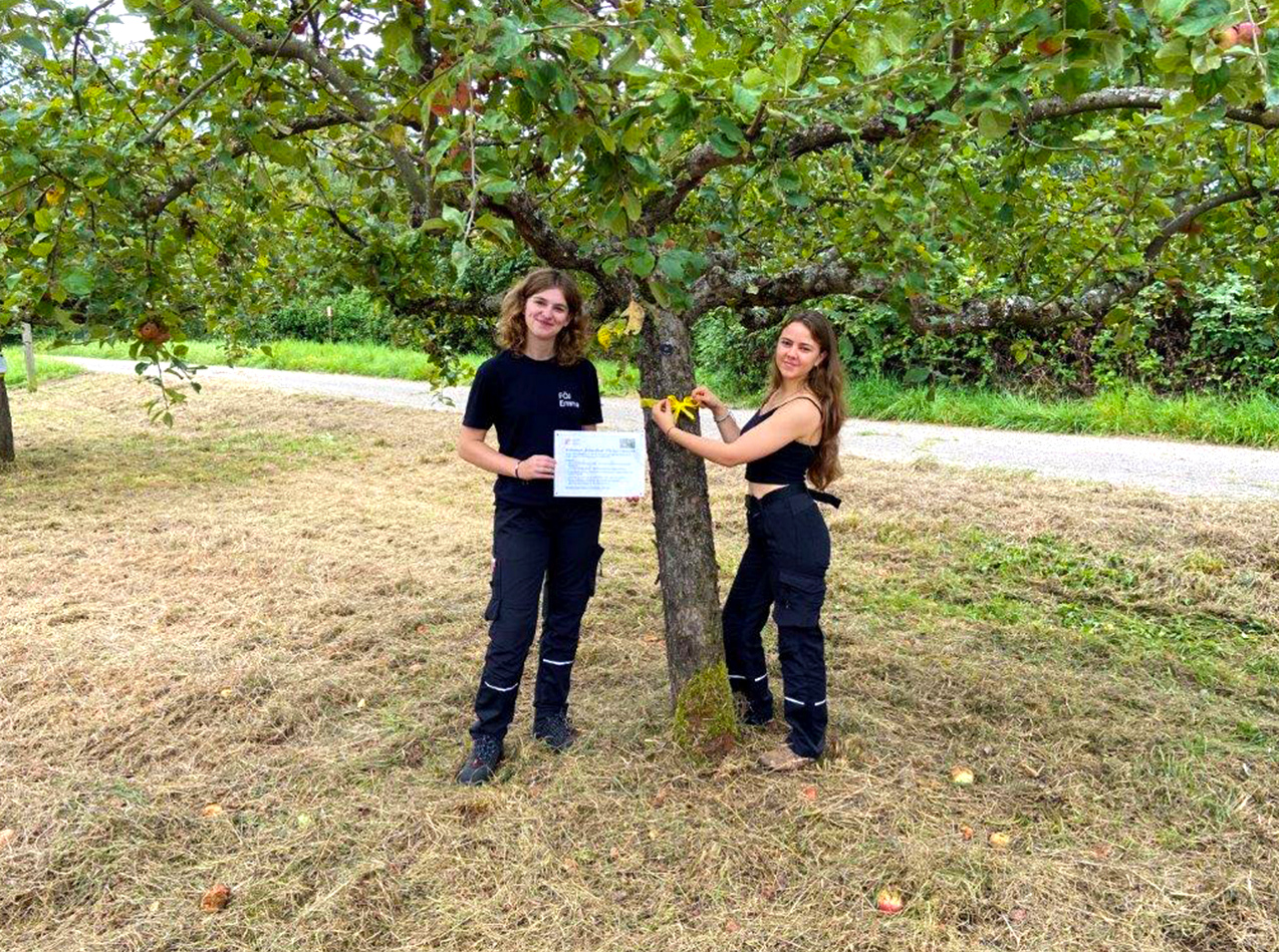 Streuobstwiese in Rastatt